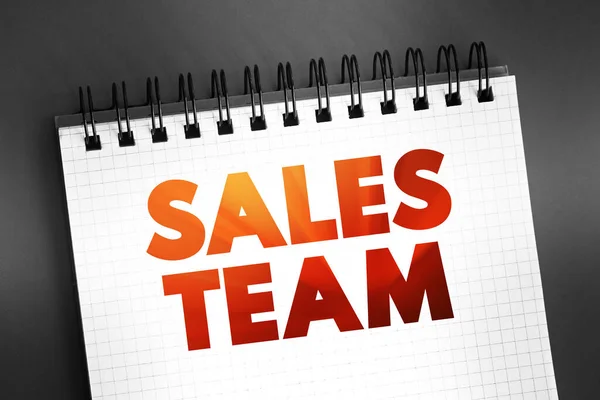 Sales Team Dipartimento Responsabile Del Raggiungimento Degli Obiettivi Vendita Organizzazione — Foto Stock