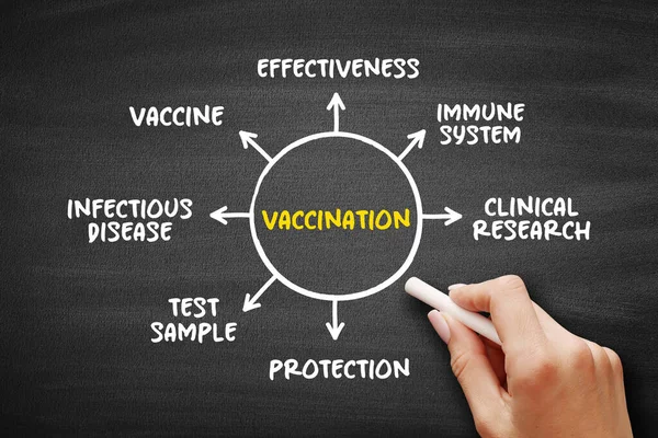 Vaccinatie Toediening Van Een Vaccin Het Immuunsysteem Helpen Bescherming Ontwikkelen — Stockfoto