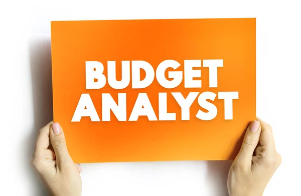 Költségvetési Elemző Felelős Szervezet Költségvetésének Felülvizsgálatáért Kiadási Kérelmek Jóváhagyásáért Szöveges — Stock Fotó