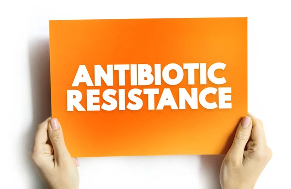 Antimikrobiální Rezistence Když Bakterie Jako Bakterie Houby Rozvíjet Schopnost Porazit — Stock fotografie