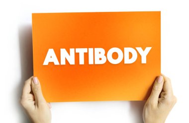 Antikor- bağışıklık sistemi tarafından patojenik bakteri ve virüsler gibi yabancı nesneleri tanımlamak ve nötralize etmek için kullanılan büyük bir Y şekilli proteindir.