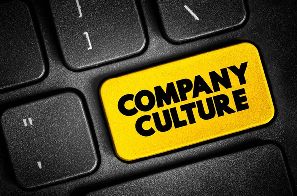 Cultura Empresa Conjunto Valores Compartidos Metas Actitudes Prácticas Que Caracterizan — Foto de Stock