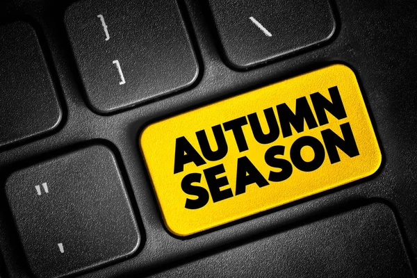 Autumn Season Summer Winter Which Temperatures Gradually Decrease Text Concept — Stock Photo, Image