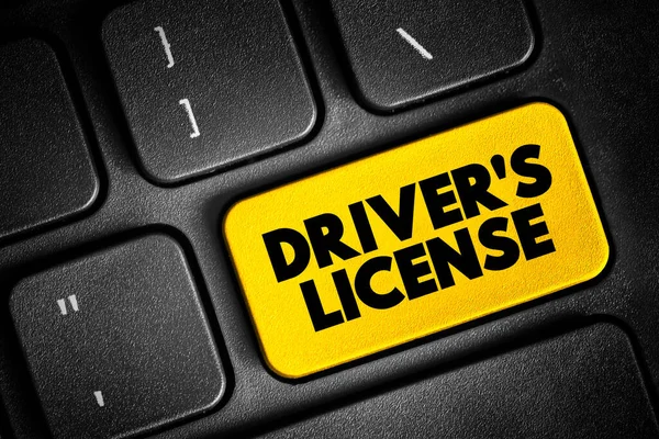 Driver License Legal Authorization Confirming Authorization Operate One More Types — Stock Fotó