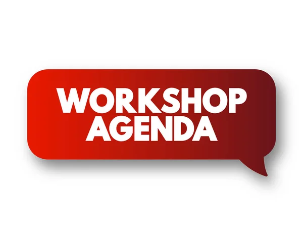 Workshop Agenda Elenco Schema Tutte Attività Preparate Dagli Organizzatori Che — Vettoriale Stock