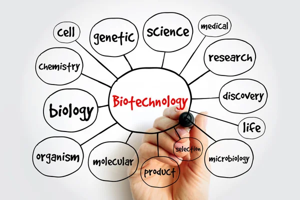 Biotechnológiai Elmetérkép Prezentációk Jelentések Koncepciója — Stock Fotó