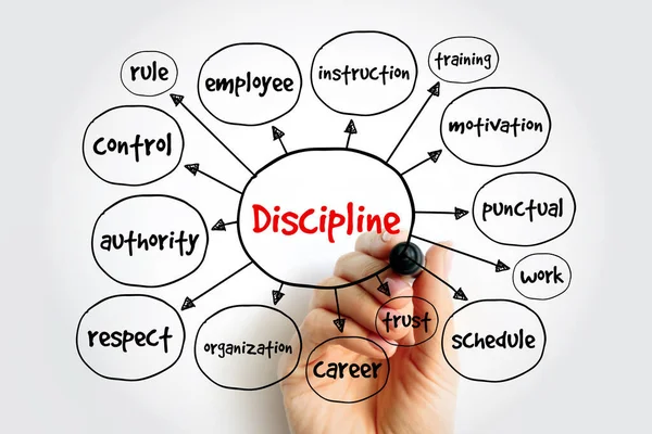 Discipline Mindmap Business Concept Voor Presentaties Rapporten — Stockfoto