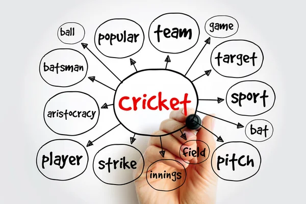 Cricket Mind Map Conceito Esporte Para Apresentações Relatórios — Fotografia de Stock