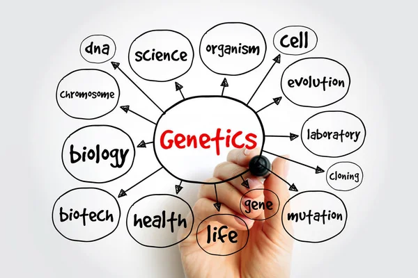 Mapa Mental Genético Concepto Médico Para Presentaciones Informes — Foto de Stock
