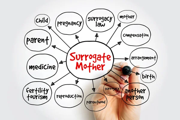 Surrogate Mother Mind Map Concept Για Παρουσιάσεις Και Αναφορές — Φωτογραφία Αρχείου