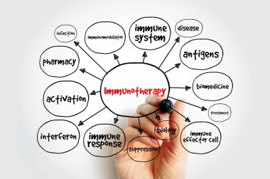 Immunotherapy mind map, concept for presentations and reports clipart