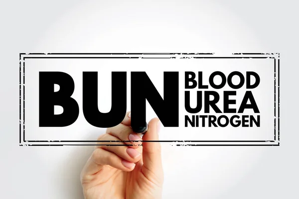 Bun Blood Urea Nitrogen Medical Test Measures Amount Urea Nitrogen — Foto Stock