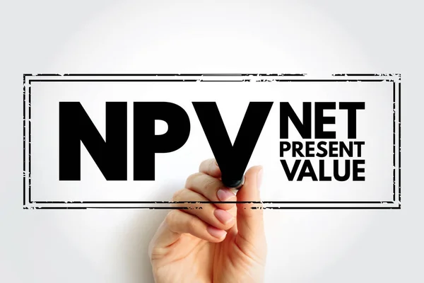 Npv Net Present Value Cash Flows Required Rate Return Your — Stok Foto
