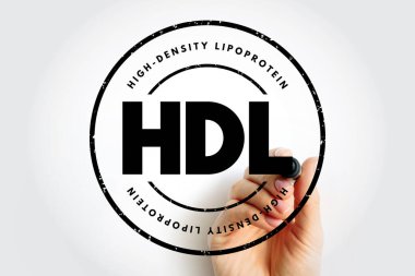 HDL Yüksek Yoğunluklu Lipoprotein - beş büyük lipoprotein grubundan biri, kısaltma metin pulu kavramı kavramı