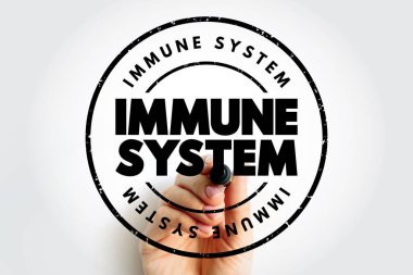 Immune System text stamp, health concept background