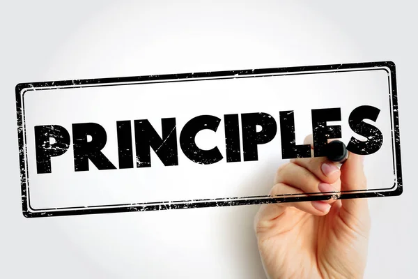 Principles Text Stamp Business Concept Background — Stok fotoğraf
