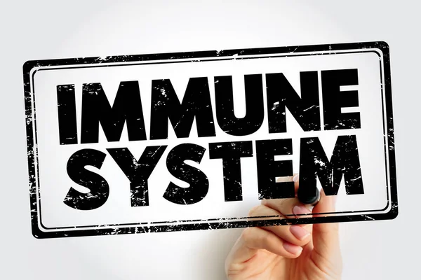 Stock image Immune System text stamp, health concept background