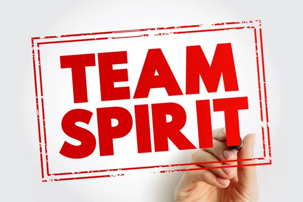 Team Spirit text stamp, business concept for presentations and reports