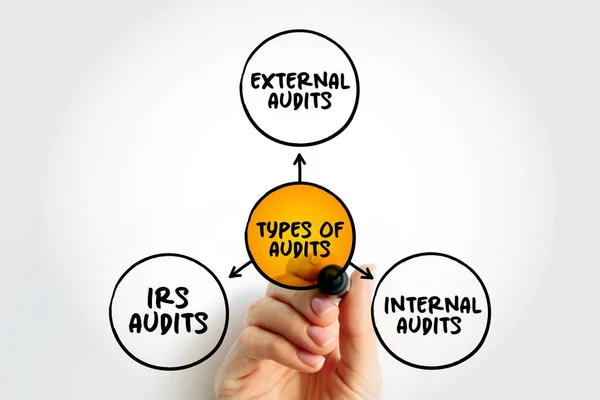 Types Audits Important Part Customer Supplier Partnership Mind Map Concept — Stockfoto