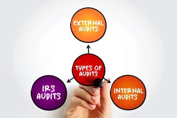 Types Audits Important Part Customer Supplier Partnership Mind Map Concept — Stock Photo, Image