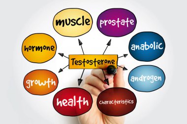 Testosteron zihin haritası, sunum ve raporlar için tıbbi konsept