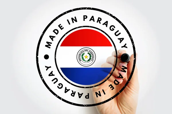 Insigne Emblème Texte Fabriqué Paraguay Fond Concept — Photo