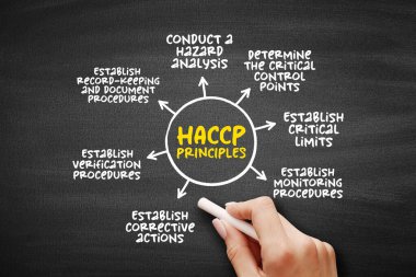 HACCP PRINCIPLES, tanımlama, değerlendirme ve gıda güvenliği tehlikelerinin kontrolü aşağıdaki yedi ilke, kara tahta üzerindeki zihin haritası kavramına dayanmaktadır