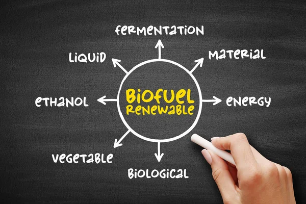 Biyoyakıt yenilenebilir - tamamen bitkisel organik maddelerden türetilmiş, sunum ve raporlar için karatahta zihin haritası kavramı