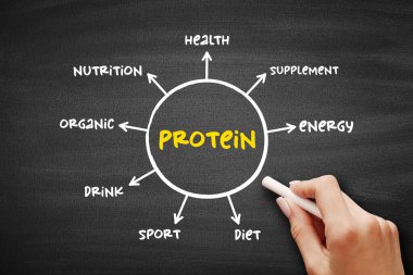 Protein are large biomolecule and macromolecule that comprise one or more long chains of amino acid residues, mind map concept background