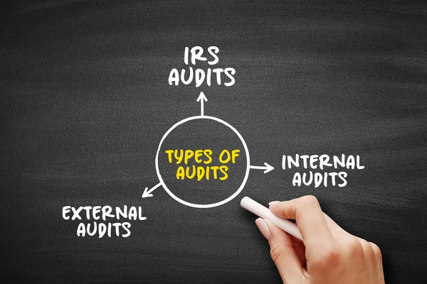 Auditok Típusai Ügyfél Beszállító Partnerség Fontos Része Előadások Jelentések Gondolkodásmódja — Stock Fotó