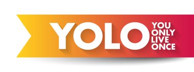 YOLO - Sadece Bir Kısaltma Yaşarsın, kavram geçmişi
