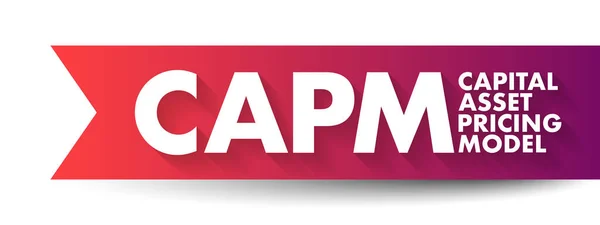 Capm Capital Asset Pricing Model Relatie Tussen Systematisch Risico Verwachte — Stockvector