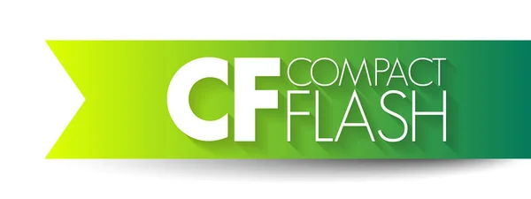 Compact Flash Adalah Perangkat Penyimpanan Massa Memori Kilat Yang Digunakan - Stok Vektor