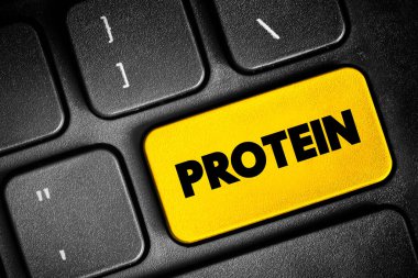 Protein - büyük biyomoleküller ve bir veya daha fazla uzun amino asit zinciri içeren makro moleküller, klavyede metin kavramı düğmesi