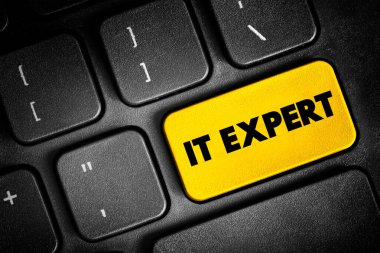 IT Expert - donanım veya yazılımla ilgili sorunları tanımlar ve bu sorunları hızlıca çözmek için kullanıcılarla veya sunucuların arka ucunda çalışır, klavyedeki metin kavramı düğmesi
