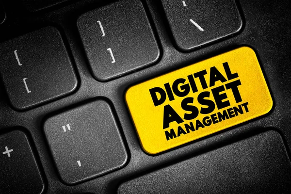 Dam Digital Asset Management Processo Negócios Uma Tecnologia Gerenciamento Informações — Fotografia de Stock