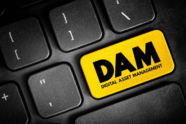 Dam Dijital Varlık Yönetimi Süreci Bilgi Yönetimi Teknolojisi Klavyede Kısaltma — Stok fotoğraf