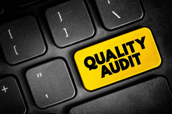 Quality Audit Systematic Examination Organization Quality Management System Text Concept — Stockfoto