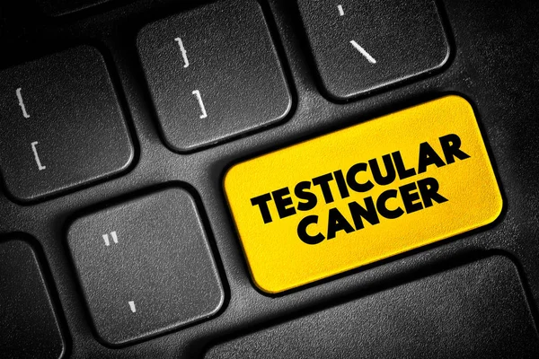 Testis Kanseri Görülen Kanserlerden Biridir Çoğunlukla Yaşları Arasındaki Erkekleri Etkiler — Stok fotoğraf