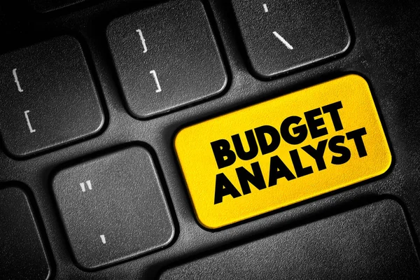 Budget Analyst Zijn Verantwoordelijk Voor Herziening Van Het Budget Van — Stockfoto