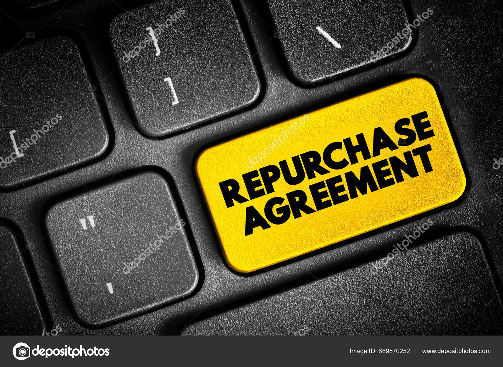 Repurchase Agreement Short Term Agreement Sell Securities Order