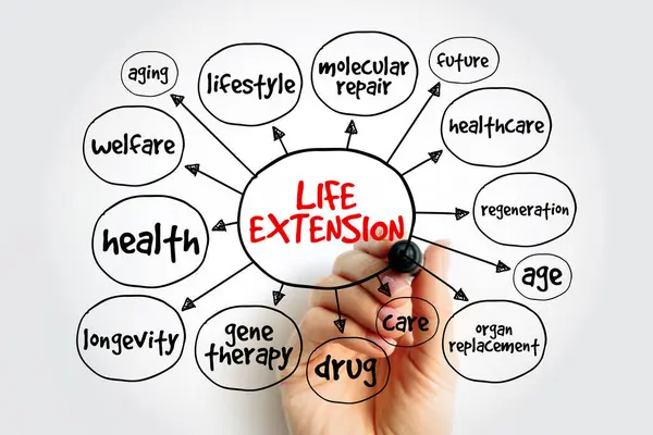 Life extension mind map, concept for presentations and reports