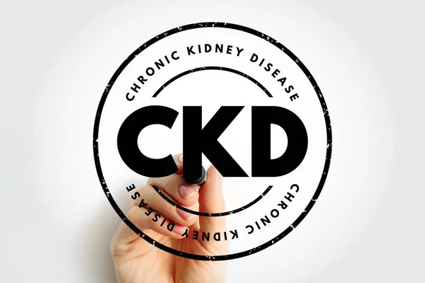 CKD Chronic Kidney Disease - gradual loss of kidney function over a period of months to years, acronym text stamp