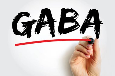 GABA - gelişimsel olarak olgun memelilerin merkezi sinir sisteminde inhibitör baş nörotransmiter, metin konsepti arka planı