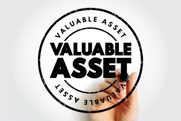 Valuable Asset Text Stamp Concept Background — Stock Photo, Image