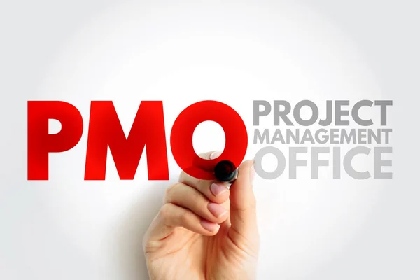 PMO Project Management Office - department that defines, maintains and ensures project management standards across an organization, acronym text concept background