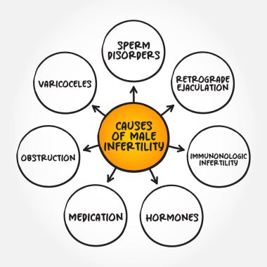 Erkeklerin kısırlık zihin haritası sunumlar ve raporlar için metin kavramının nedenleri