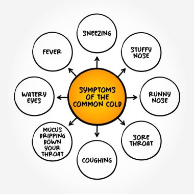 Genel nezle belirtileri (burun ve boğazınızdaki viral enfeksiyon, üst solunum yolu) zihin haritası metni kavramı arka planı