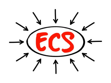 ECS Elektronik Temizleme Servisi - toplu ödeme işlemlerini etkileme yöntemi, oklu kısaltma metin kavramı