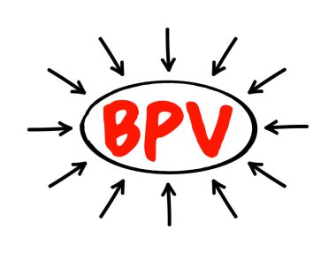 BPV Bank Payment Foucher - satıcılara ödeme yaparken veya müşterilere ödeme yaparken banka hesaplarını etkileyen girdiler, oklu kısaltma metin kavramı